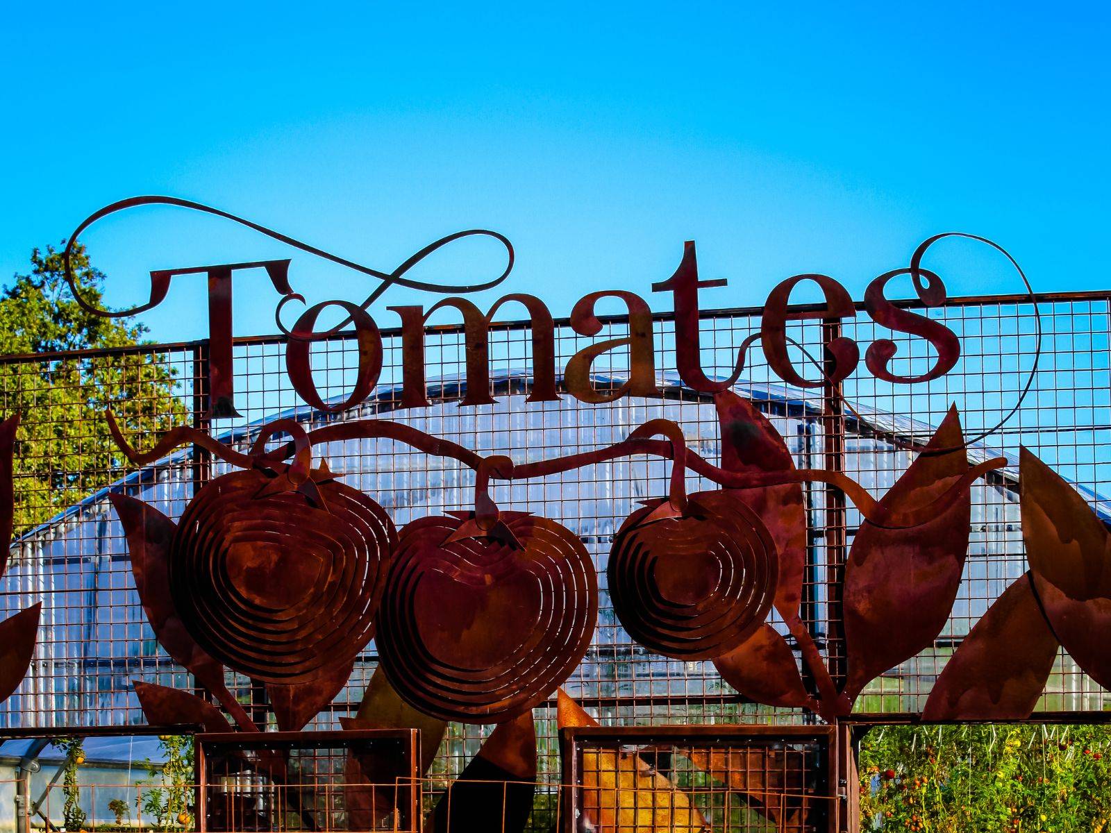 Tunnel de Tomates Le Potager Extraordinaire Camping Le Pin Parasol Vendée La Roche-sur-Yon