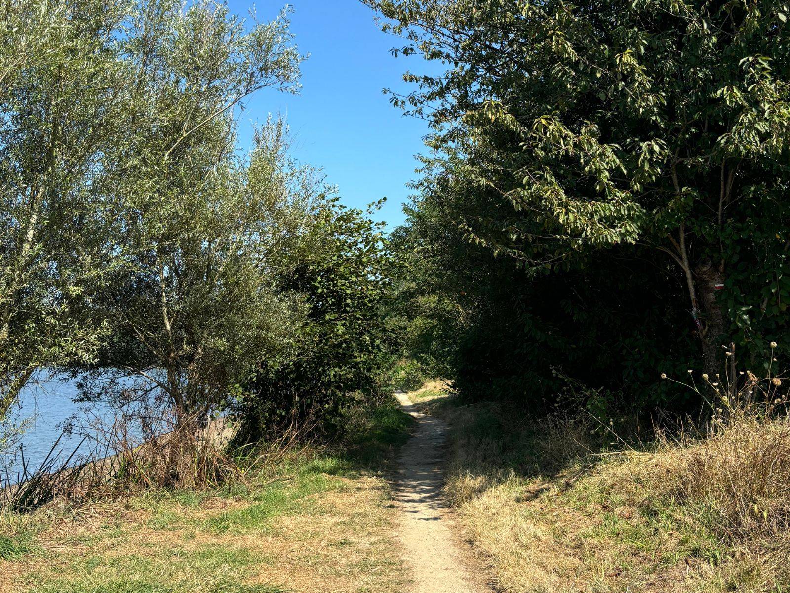 Chemin balade Les Canoës du Jaunay Camping Le Pin Parasol Vednée