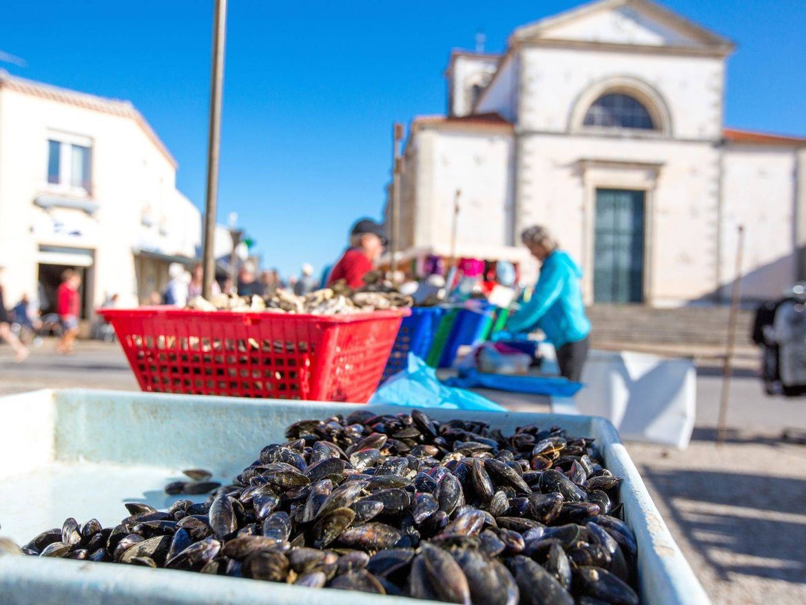 Bretignolles-sur-mer Marché Moules Fraîches Camping Le Pin Parasol Vendée