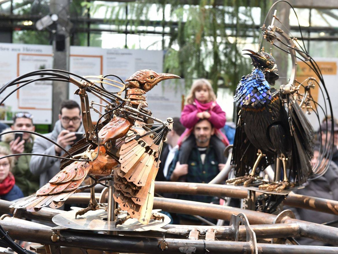La Galerie des Machines Les Machines de l’île Camping Le Pin Parasol Vendée