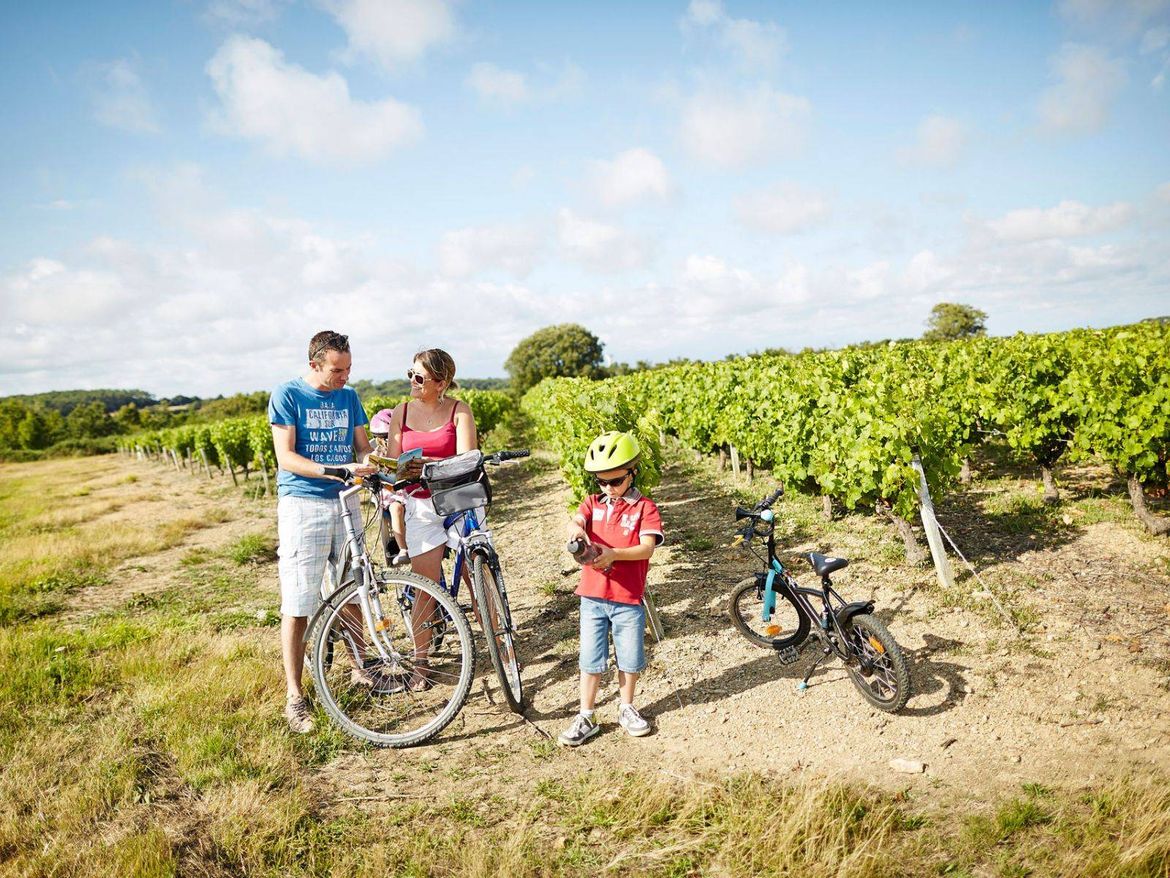 Bretignolles-sur-mer Les vignes de Brem Camping Le Pin Parasol Vendée Vélo