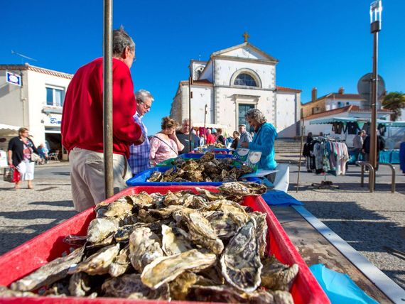 Marché Brétignolles Huîtres Fraiches Camping Le Pin Parasol Vendée