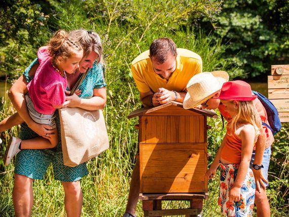 La Folie Finfarine Famille Ruche Abeilles Poiroux Camping Le Pin Parasol Vendée