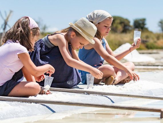 Les Salines Les Sables d'Olonne Récolte sel Camping Le Pin Parasol Vendée