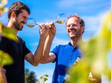 Dégustations Route des vins Camping Le Pin Parasol Vendée