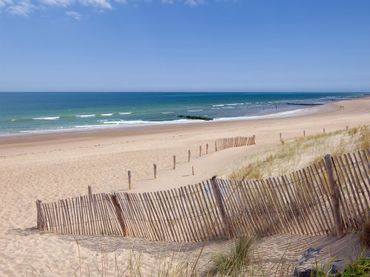 5 star campsite in the Vendée at La Chapelle Hermier | Le Pin Parasol